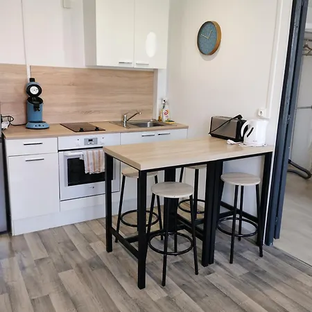 Appartement Bel En Face De La Pepinere De Stanislas Nancy