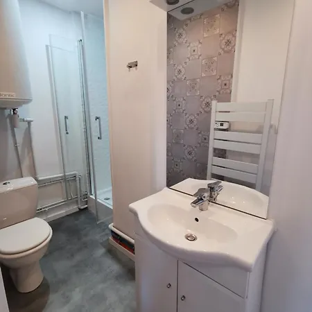 Appartement Bel En Face De La Pepinere De Stanislas Nancy